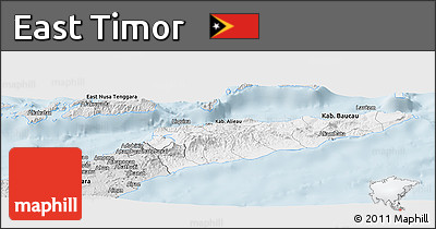 Silver Style Panoramic Map of East Timor