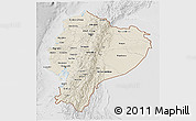 Shaded Relief 3D Map of Ecuador, lighten, desaturated