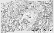 Silver Style 3D Map of Nabon
