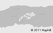 Gray Panoramic Map of Nabon, single color outside