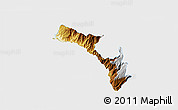 Physical 3D Map of Mira, single color outside