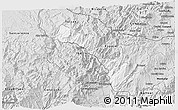 Silver Style 3D Map of Mira