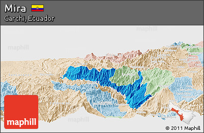 Political Panoramic Map of Mira, lighten