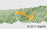 Savanna Style Panoramic Map of Mira