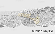 Shaded Relief Panoramic Map of Mira, desaturated