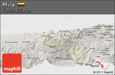 Shaded Relief Panoramic Map of Mira, semi-desaturated