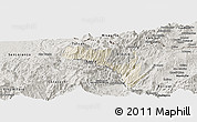 Shaded Relief Panoramic Map of Mira, semi-desaturated
