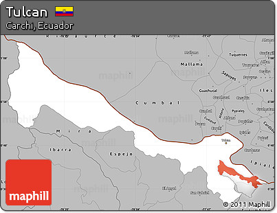 Gray Simple Map of Tulcan