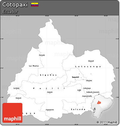 Gray Simple Map of Cotopaxi, single color outside