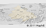 Shaded Relief Panoramic Map of Eloy Alfaro, desaturated