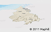 Shaded Relief Panoramic Map of Eloy Alfaro, single color outside
