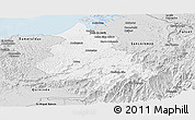 Silver Style Panoramic Map of Eloy Alfaro