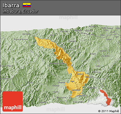 Savanna Style 3D Map of Ibarra