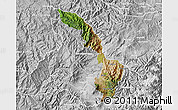 Satellite Map of Ibarra, lighten, desaturated