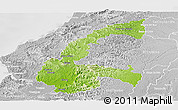 Physical Panoramic Map of Chone, lighten, desaturated