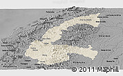 Shaded Relief Panoramic Map of Chone, darken, desaturated