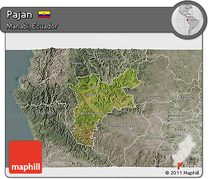 Satellite 3D Map of Pajan, semi-desaturated