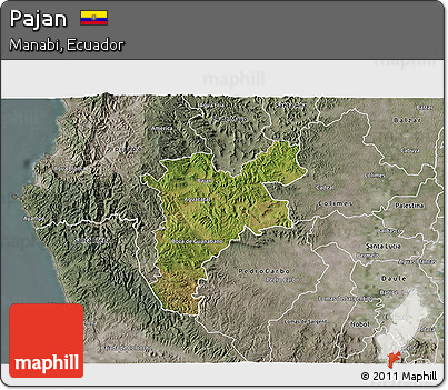 Satellite 3D Map of Pajan, semi-desaturated
