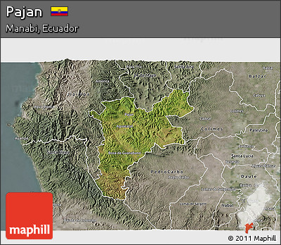 Satellite 3D Map of Pajan, semi-desaturated