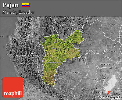 Satellite Map of Pajan, desaturated