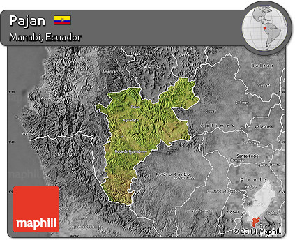 Satellite Map of Pajan, desaturated