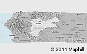 Gray Panoramic Map of Pajan