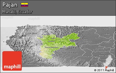 Physical Panoramic Map of Pajan, desaturated