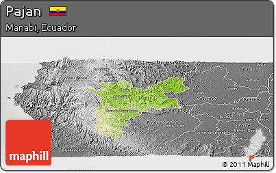 Physical Panoramic Map of Pajan, desaturated