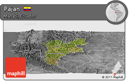 Satellite Panoramic Map of Pajan, desaturated