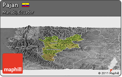 Satellite Panoramic Map of Pajan, desaturated