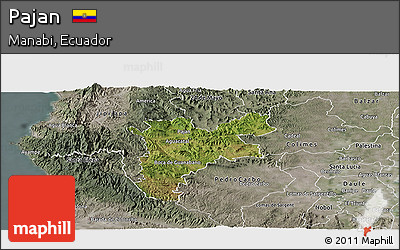 Satellite Panoramic Map of Pajan, semi-desaturated