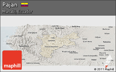 Shaded Relief Panoramic Map of Pajan, semi-desaturated