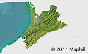 Satellite 3D Map of Pedernales, single color outside