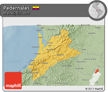 Savanna Style 3D Map of Pedernales