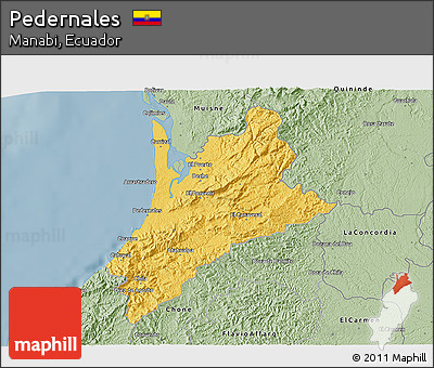 Savanna Style 3D Map of Pedernales