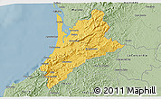 Savanna Style 3D Map of Pedernales