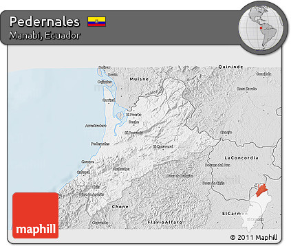 Silver Style 3D Map of Pedernales