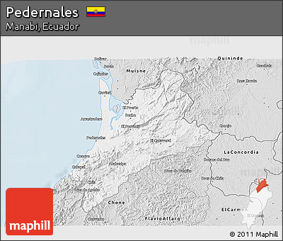 Silver Style 3D Map of Pedernales