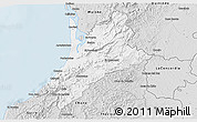Silver Style 3D Map of Pedernales