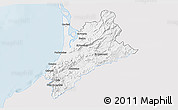 Silver Style 3D Map of Pedernales, single color outside