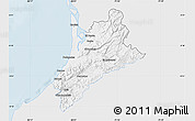 Silver Style Map of Pedernales, single color outside