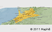 Savanna Style Panoramic Map of Pedernales