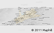 Shaded Relief Panoramic Map of Pedernales, desaturated