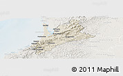 Shaded Relief Panoramic Map of Pedernales, lighten