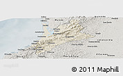 Shaded Relief Panoramic Map of Pedernales, semi-desaturated