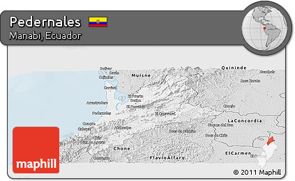 Silver Style Panoramic Map of Pedernales