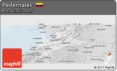 Silver Style Panoramic Map of Pedernales