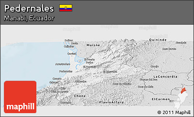 Silver Style Panoramic Map of Pedernales