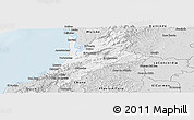 Silver Style Panoramic Map of Pedernales