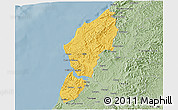 Savanna Style 3D Map of Sucre